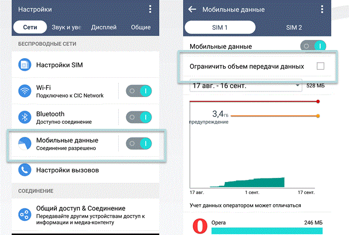 Запрет мобильного интернета